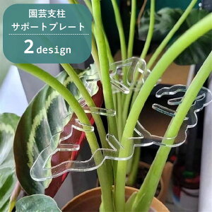  |pxT|[gv[g xz_[ Œ xpi Ap [t^ tό^ NA  K[fjOpi |pi ƒ؉  