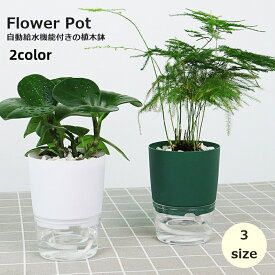 送料無料 植木鉢 自動給水 フラワーポット プランター 観葉植物 多肉植物 円形 透明 クリア シンプル かわいい おしゃれ 卓上 園芸 ガーデニング