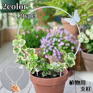  Ax |x K[fjO v^[ Ap  n[g AT|[g X o^tC 