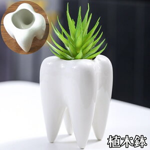  Aؔ t[|bg v^[ ^ T{e ~j~ K[fjO |pi ϗtAp   CeAG j[N  O