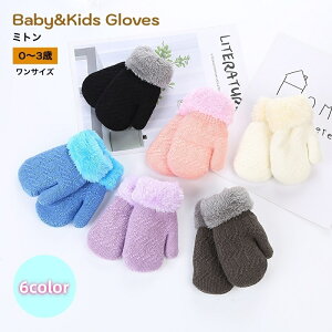  ~g  xr[ LbY xr[t@bV xr[pt@bV q u[ p[v jbg ӂӂ     ~ h v[g