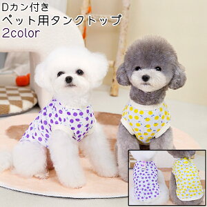  ybgEFA hbOEFA ^Ngbv   ^ ^ ybg gbvX DJt m[X[u Ȃ F   킢  U oV[