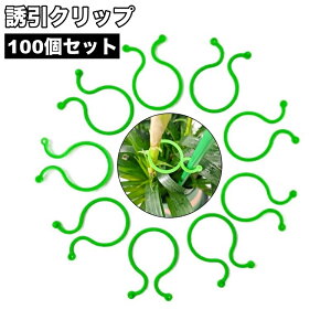  UNbv 100Zbg |Nbv _ | K[fjO ږ  oh Œ    ֗ Nbv