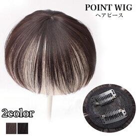 送料無料 ポイントウィッグ 部分ウィッグ ヘアピース 頭頂部ウィッグ レディース パッチン留め 装着簡単 つむじカバー 付け毛 かつら 薄毛隠し 薄毛対策 白髪隠し 女性用 母の日