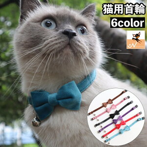  Lp Z[teBobN J[ {t т `[J[ lN^C t n Vv ˂ L lRpi ybgObY ߂  