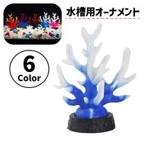 楽天市場】珊瑚 カラフルの通販