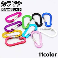 送料無料 カラビナ 10個セット キーホルダー Dカン Dリング キーリング フック 吊り下げ ぶら下げ アウト…