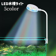 送料無料 水槽ライト 水槽照明 LEDライト USB給電式 熱帯魚 観賞魚 アクアリウム 水草 ミニライト 小型 …