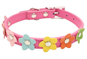  ybgp  J[  L  t[`[t o| U ybgpi ybgObY Upi  Jt  L[g K[[   ˂  L