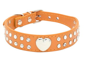  ybgp  J[ U[  L U o| CXg[ n[gX^bY ybgpi ybgObY xg   u[ sN