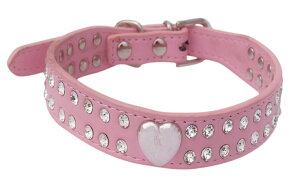  ybgp  J[ U[  L U o| CXg[ n[gX^bY ybgpi ybgObY xg   u[ sN