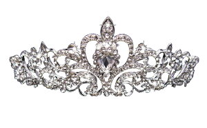  eBA EGfBO RXv  ԉ  wbhhX uC_ p[eB[ 񎟉 wAANZT[ LL