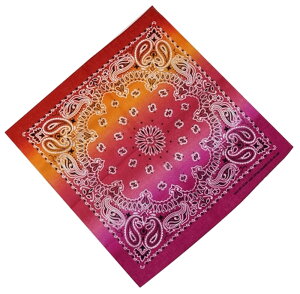  o_i Of[VJ[ yCY[ nJ` Op t@bV  fB[X Y jp