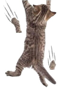  EH[XebJ[ ǎV[ EH[V[ gC Ƌ KX ^C   CeA DIY t 킢 L Aj}   gbNA[g A 