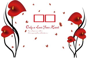  EH[XebJ[ ǎV[ EH[V[ ͂ A tHgt[ z  ؂₩  킢 ǃV[ ǖʑ Ǒ  [fR[V 