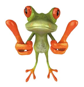  EH[XebJ[ ǎV[ [fR[V EH[fR[V DIY ǖʑ Ǒ   t \tȒP B LYB G  Ce