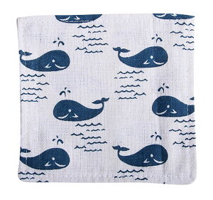  R[X^[ z    i CeA 킢 ACe Lb`pi