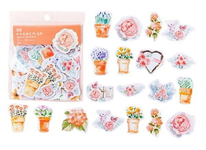  V[ XebJ[ 45 t[  G fR[V XNbvubLO f  킢