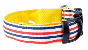 送料無料 犬用首輪 LEDライト 光る 首輪 ペット用品 犬 わんこドッグ 散歩 お散歩 夜 夜間 夜光 ブルー レッド オレンジ イエロー グリーン ピンク ボーダー
