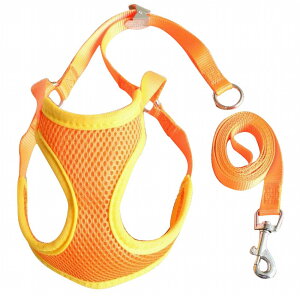  pn[lX [h 2_Zbg   UR [V hbOEFA ^ ^ ybgpi UObY bV ʋC ɂ tBbg \tg TCY߉\ 