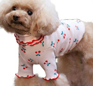  hbOEFA ybgEFA Jbg\[ ̕  m ybgpi ^  TN{ ݕt u Et U o  킢  L̕ ˂