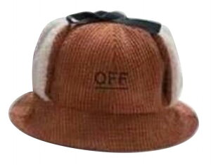  Xq nbg ĕt {A xr[ q j̎q ̎q i` 킢   JWA H ~