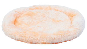  NbV ybg ybgpi Eh n 킢 ӂ ybgObY  nX^[ bg `` K xbh Q ӂӂ ی^   