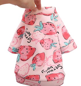  ybgEFA hbOEFA p ^   N 킢  N}  CI  U o| ybgpi