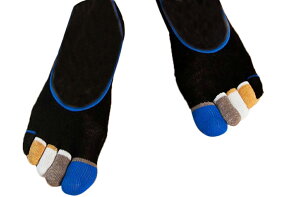  ܖ{w\bNX Y C Jo[\bNX tbgJo[ [t@[C x[V[g Xj[J[ JWA   jp am Jt 5{w X|[c N u