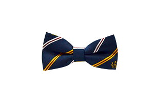  lN^C LbY q j̎q ̎q t@bV ߉\ tH[}   w  p[eB[ Cxg \ o 