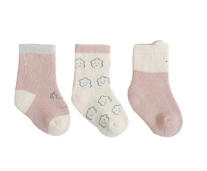  N[\bNX 3Zbg xr[ LbY qǂ Ԃ V j̎q ̎q N  N} _ {[_[ t[  i` y[J[ C  