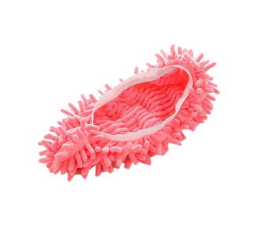  bvXbp Jo[ 2Zbg 1 S |pi ȒP  ď| z bv ق Ǝ Z ֗ |   t[O