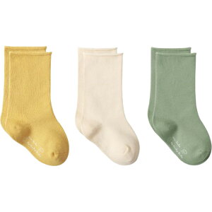  C N[\bNX 3Zbg xr[ Ԃ LbY q ̎q j̎q bOEFA  n ~ t@bV PF Vv 킢 i`  J