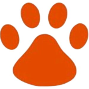  J[XebJ[ ԗpXebJ[ 4Zbg V[ LYB wR~B ՃXebJ[ XebJ[  ʔ L̑ ̑  ԑ   ԗp J[pi 