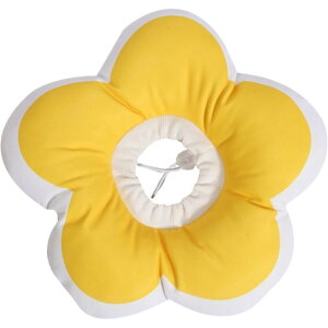  GUxXJ[ L  ^ ybgpi  \tg _炩 y z r ~h~ ی p̃PA  PK pEFA NbV  ܂ GJ 