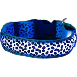   p Pi LEDCg hbO Ck  ybgpi ybgp dr U   [ AEghA ^ ^ lR L qE ^ Ip[h  Oo 