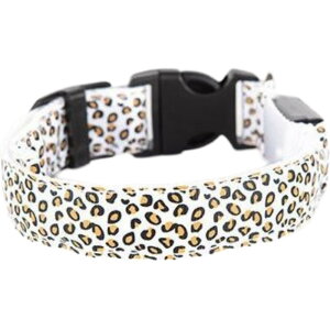   p Pi LEDCg hbO Ck  ybgpi ybgp dr U   [ AEghA ^ ^ lR L qE ^ Ip[h  Oo 