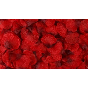  t[V[ Ԃт 1000Zbg    o A[gt[ t[y^ fR[V Ԑ  EGfBO p[eB Cxg TvCY DIY J