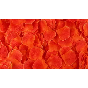  t[V[ Ԃт 1000Zbg    o A[gt[ t[y^ fR[V Ԑ  EGfBO p[eB Cxg TvCY DIY J