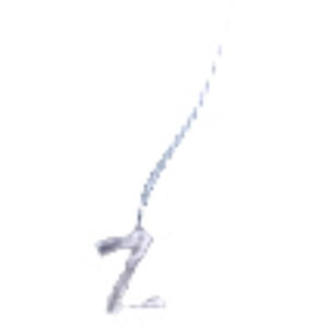  AJsAX Ўp 1 fB[X ANZT[  At@xbg OsAX h Vo[J[ Vv  p wlp  LO a 