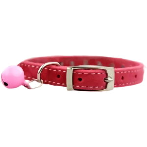    L J[ xg XEF[h ^ ^ U o| `[J[  CXg[  ubN bh u[ sN ybgObY pi Lpi