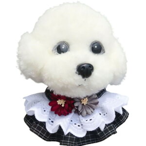  ybgpX^C 悾ꂩ XJ[t o_i  L ^ ^ [X t  ANZT[  hbOEFA  ru `[J[ ^b`obN TCY