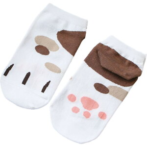  C V[g\bNX fB[X   Ԃ Xj[J[ L lR   JWA 킢  ig fC[ wlp