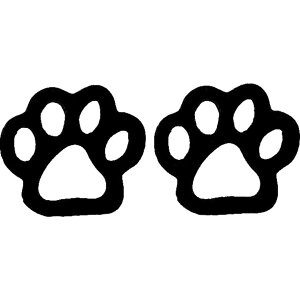  X^bhsAX fB[X  ANZT[ sAX L lR Lbg    Aj} 킢  K[[