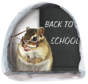  EH[XebJ[ Ǒ XebJ[ CeA V[ \邾 lY~ }EX Ki  q ͗lւ 킢 