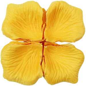  t[V[ Ԃт 100Zbg    o A[gt[ t[y^ fR[V Ԑ  EGfBO p[eB Cxg TvCY DIY J