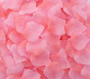  t[V[ Ԃт 100Zbg    o A[gt[ t[y^ fR[V Ԑ  EGfBO p[eB Cxg TvCY DIY J