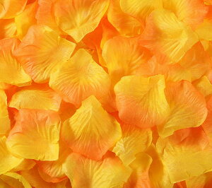  t[V[ Ԃт 100Zbg    o A[gt[ t[y^ fR[V Ԑ  EGfBO p[eB Cxg TvCY DIY J