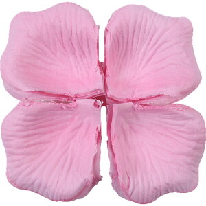  t[V[ Ԃт 100Zbg    o A[gt[ t[y^ fR[V Ԑ  EGfBO p[eB Cxg TvCY DIY J