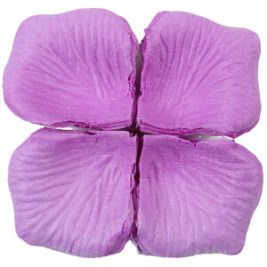  t[V[ Ԃт 100Zbg    o A[gt[ t[y^ fR[V Ԑ  EGfBO p[eB Cxg TvCY DIY J